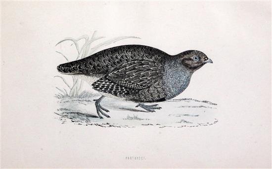 A set of six coloured engraved prints of ducks, and two further prints of fruit (8)